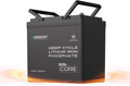 Renogy LiFePO4 Batteria al litio LiFePO4 e batteria solare a ciclo profondo, 100 Ah, 12,8 V, con BMS, per campeggio e camper