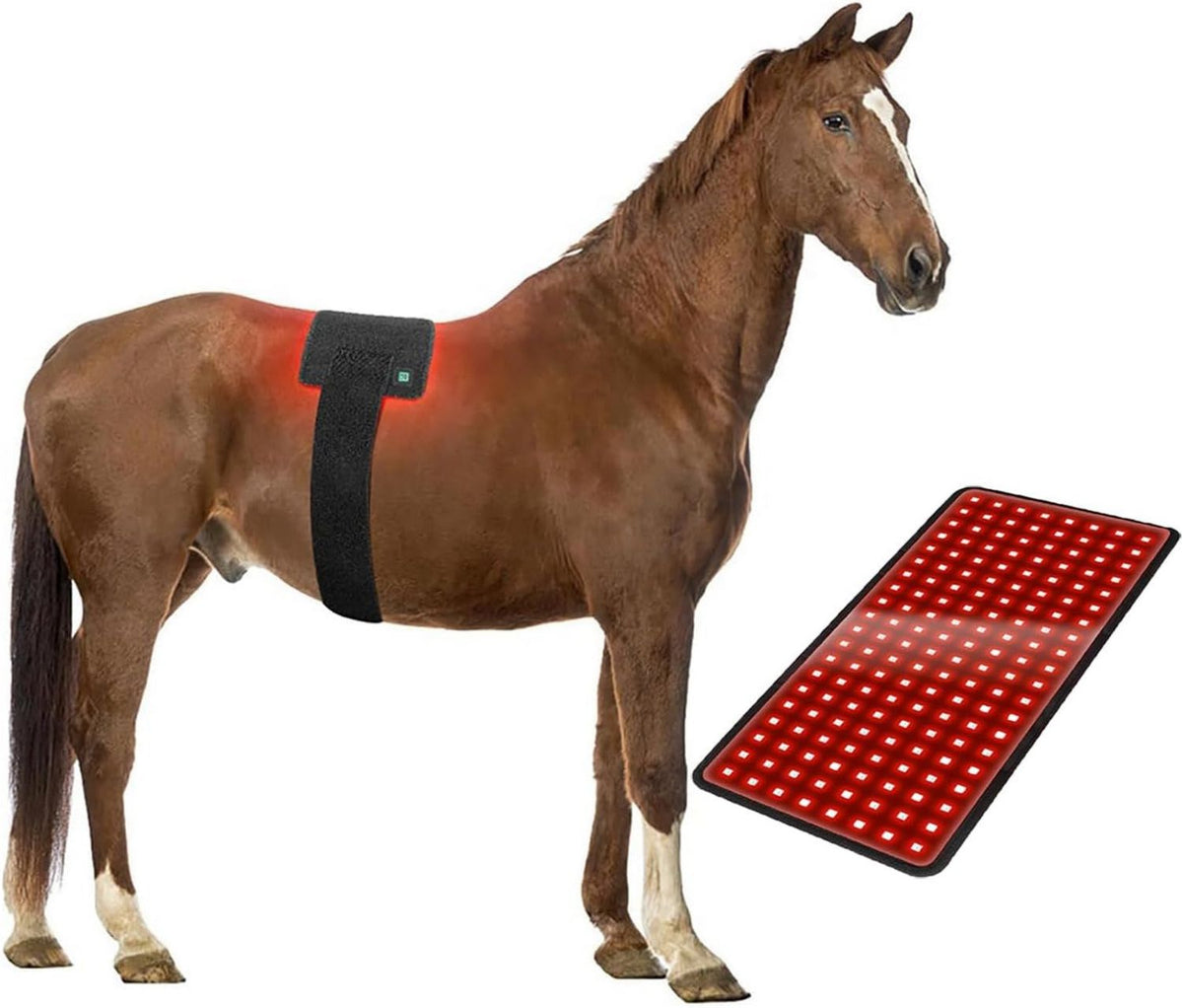 Dispositivo per terapia a luce rossa: display LED