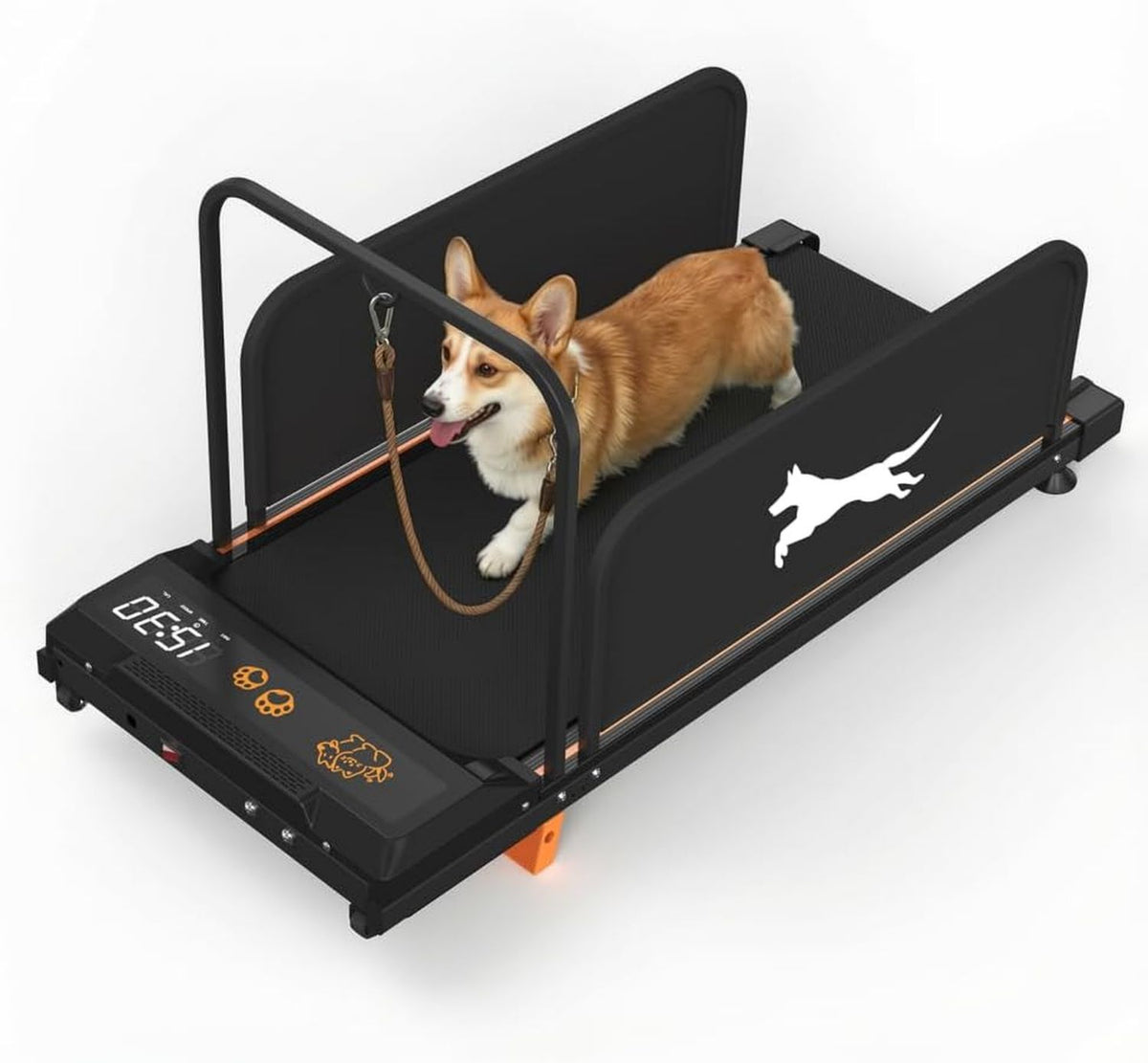 Tapis roulant per cani: funzionamento silenzioso, regolabile