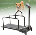 Tapis roulant per cani – regolabile, velocità regolabile, 8 kg